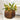 Capard Vase - Brown