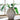 Hannela Vase - Antique Tan
